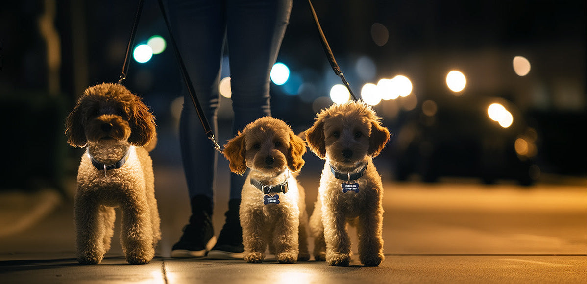 clip on walking light