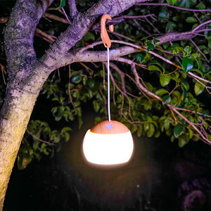 Camping Tent Lantern Hanging on the tree
