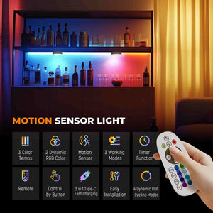 HOKOLITE 1464 - 4 Pack Charging Base Motion Sensor Light -