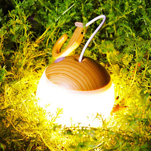 LED Camping Lantern