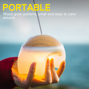 Portable LED Camping Lantern