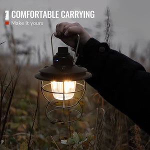 Hokolite Handle design vintage camping lantern