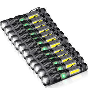 Hokolite-12-pack-small-flashlights-flashlight
